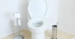 Water_Closet10[1]-6026582-45605.webp